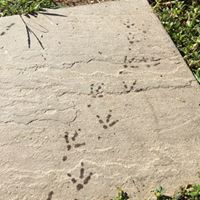 Christina Hubbard Photo 12