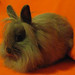 Edna Given Photo 3