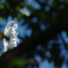 Mary Angel Photo 11