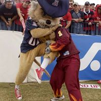 Jeff Munger Photo 15