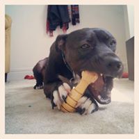 Jillian Webster Photo 13