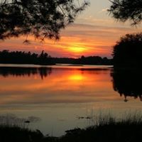 Sandy Curtis Photo 35