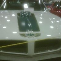 Michael Blaylock Photo 17