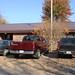 Lori Poll Photo 2