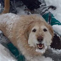 Alicia Rose Photo 15