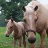 Julie Clifton Photo 25