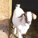 Jack Oberg Photo 7