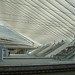 James Barajas Photo 19