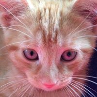 Elizabeth Farr Photo 31