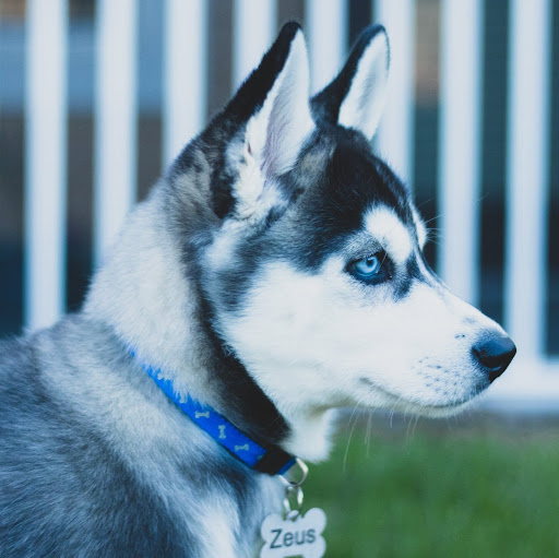 Anthony Joseph Photo 39