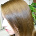Melissa Stewart Photo 18
