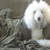 Michele Crawford Photo 13