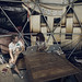Daniel Mattingly Photo 27