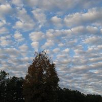 Terry Rogers Photo 14
