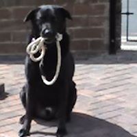 Carolyn Foster Photo 21