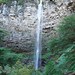 Debra Watson Photo 39