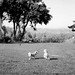 Clyde Bailey Photo 5