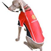 Joseph Workman Photo 10