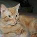 Larry Meyer Photo 21