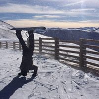 Michael Dalessandro Photo 5