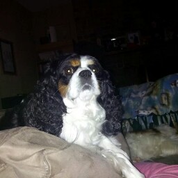 Maria Hester Photo 10