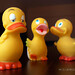 Donald Louie Photo 14