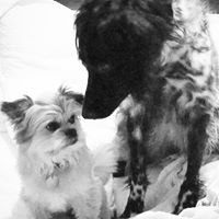 Kelly Devine Photo 17