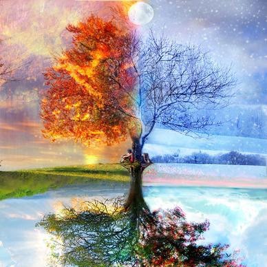 Alicia Aguirre Photo 37