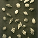 Marian Cheng Photo 9