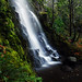 Benson Long Photo 16