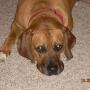 Sandy Graham Photo 13