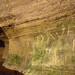 Dave Howes Photo 10