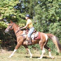 Cathy Petty Photo 15