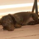 Elliot Howard Photo 23