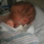 Robert Ledford Photo 45