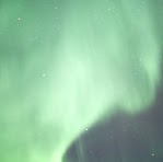 Theresa Kerr Photo 25