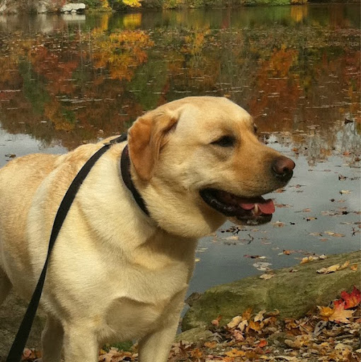 Jack Hopper Photo 27