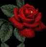 Debra Lyons Photo 18