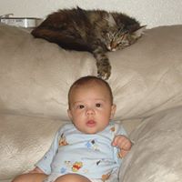 Duncan Macleod Photo 19