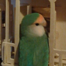 Nancy Merrill Photo 24