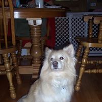 Cheryl Kuhn Photo 26