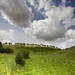 Dale Wells Photo 3