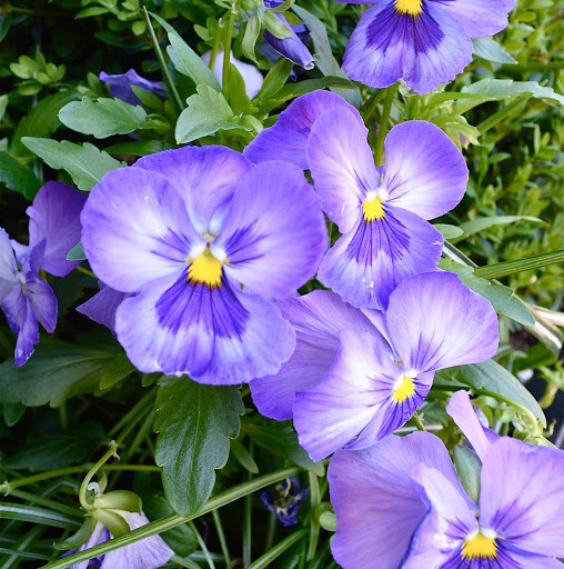 Beth Summers Photo 34