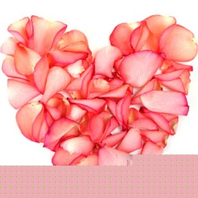 Peggy Webster Photo 12