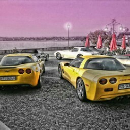 Daniel Cortez Photo 28