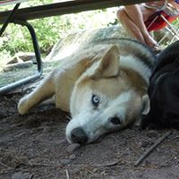 Pat Clements Photo 32