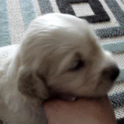 Jill Corbin Photo 18