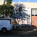 Lynne Buck Photo 25