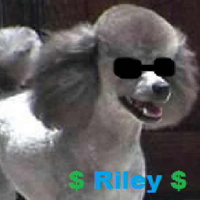 Alyssa Mayfield Photo 3