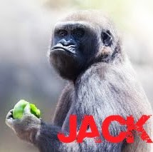 Jack Heath Photo 21 Jack Heath Photo 21